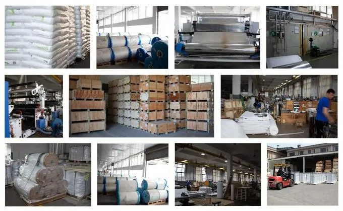 product-680-419 product-680-419