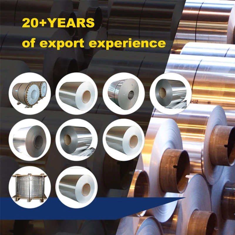 product-800-800 product-800-800